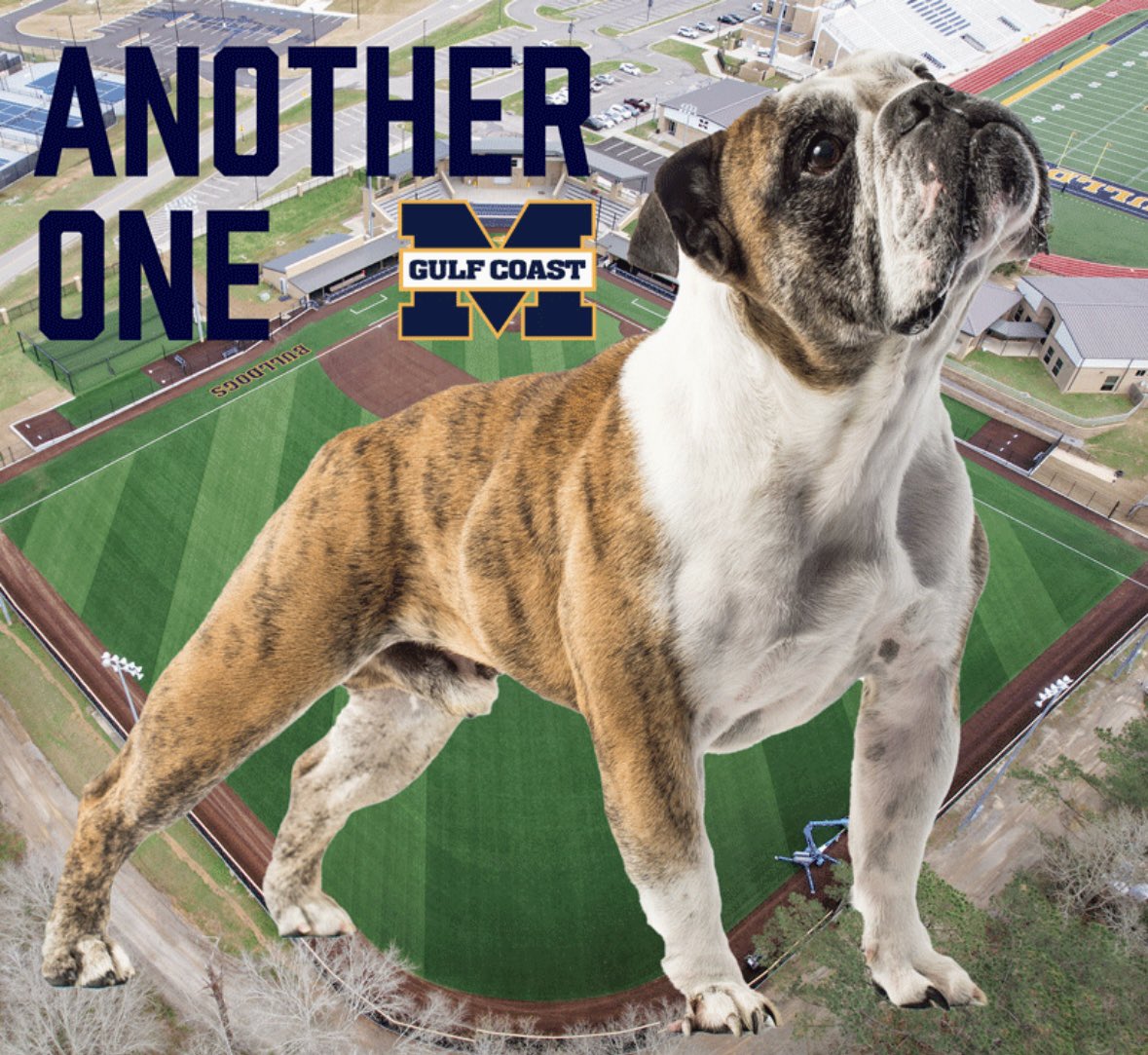 MGCCC Baseball (@mgccc_baseball) on Twitter photo 
