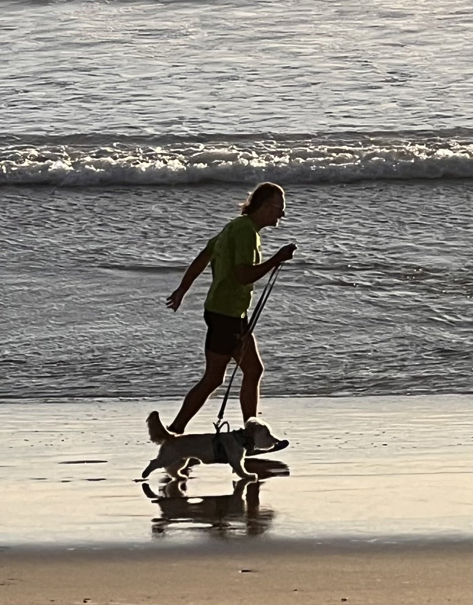 MrShifflet's tweet photo. Henry at the beach. https://t.co/y60o8jx7VW