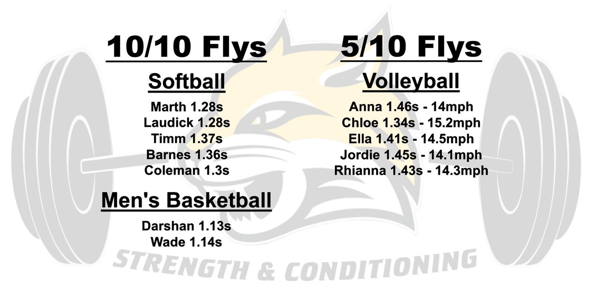 It’s Friday, which means it’s time to post this week’s highlights‼️#CatConstruction💪🏽⚡️