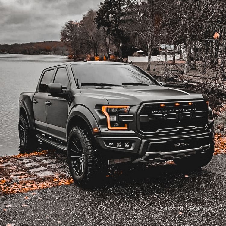 Raptor 😍