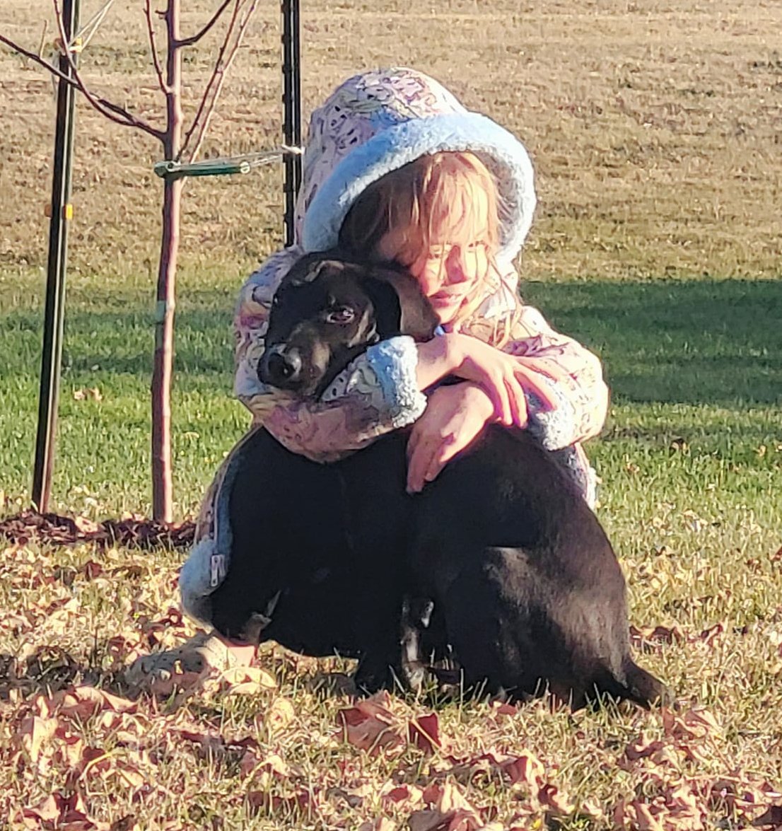 DOUG got ADOPTED!! 😍😍😍

From Great Tails Animal Rescue <a href="/MN/">misnomer</a>:

You guys! This is a perfect example of "our why" in rescue! Please read this story on how Doug adopted this forever family. Those of us that didn't attend the adoption event heard about this sweet little girl that