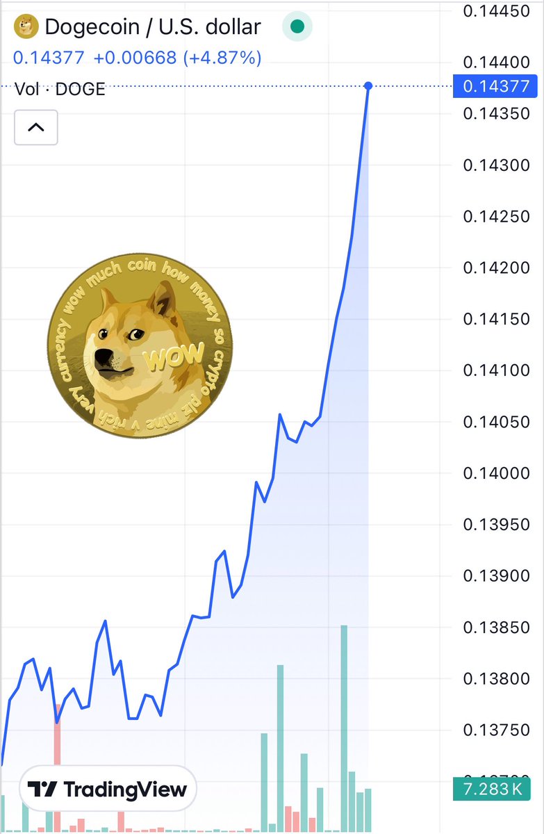 TeslaModelDoge's tweet image. 🚨 $DOGE IS FLYING RIGHT NOW 📈📈📈