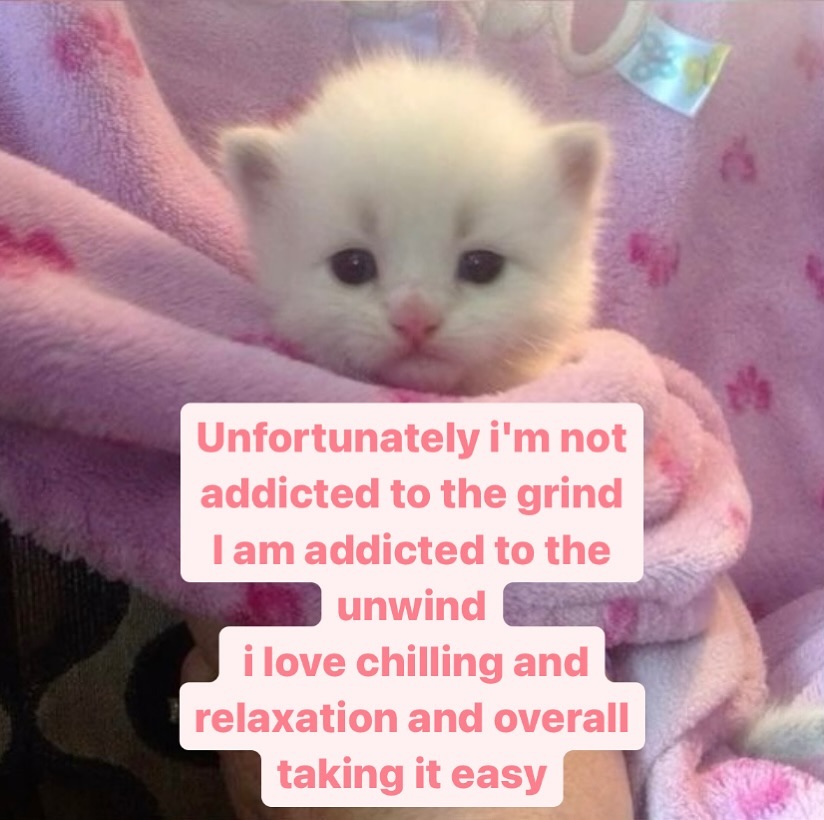 Catsillyness's tweet image. ︎ ︎ ︎ ︎ ︎ ︎ ︎ ︎ ︎ ︎ ︎ ︎ ︎ ︎ ︎ ︎ ︎ ︎ ︎ ︎ ︎ ︎ ︎ ︎ ︎ ︎ ︎ ︎ ︎ ︎ ︎ ︎ ︎ ︎ ︎ ︎ ︎