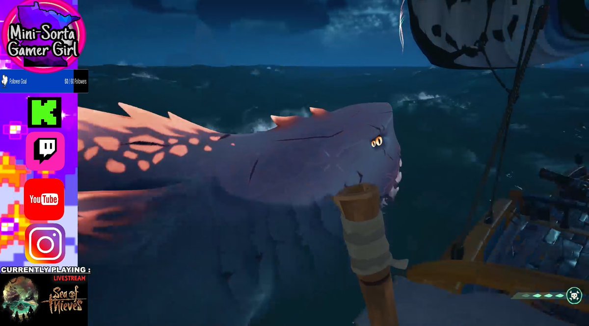 MiniSortaGamerG's tweet image. Seriously you guys….Did I just get screwed out of getting the #ShroudedGhost megaladon?! 
The eyes and the fins are pink and the body was pale but it was night so it looks blue… 

Twitch.tv/minisortagamer… 
#seaofthieves #sotmegalodon