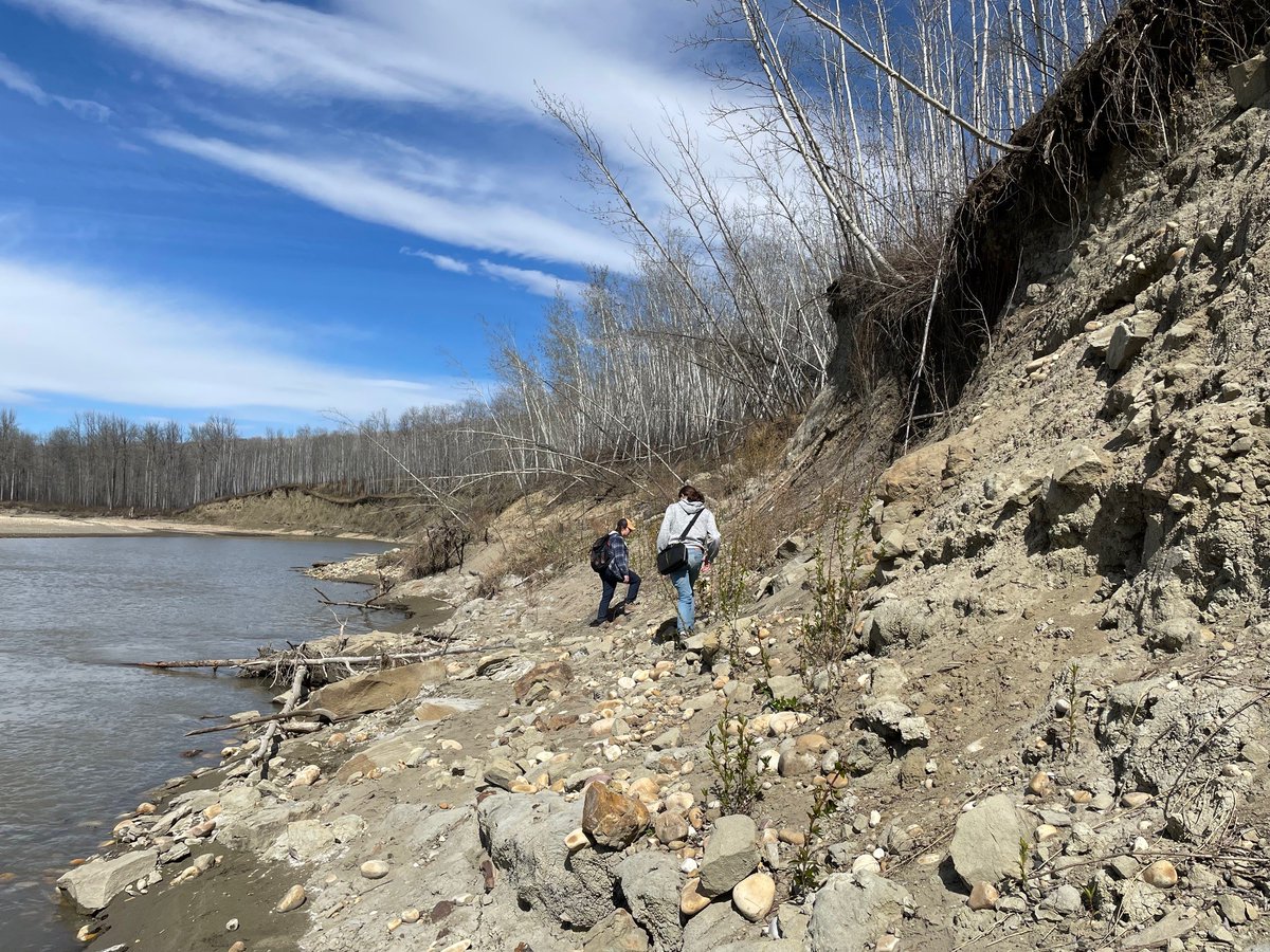 Emily Bamforth tweet media