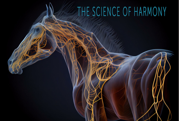 Intangible elements of connection between horse and rider go hand in hoof in the exciting new documentary, "Horses and the Science of Harmony", featuring eventing star <a href="/bubbyupton/">Bubby Upton</a> : trailer out today, full film next week. Thanks for watching and sharing! youtube.com/watch?v=TbC7Ny…