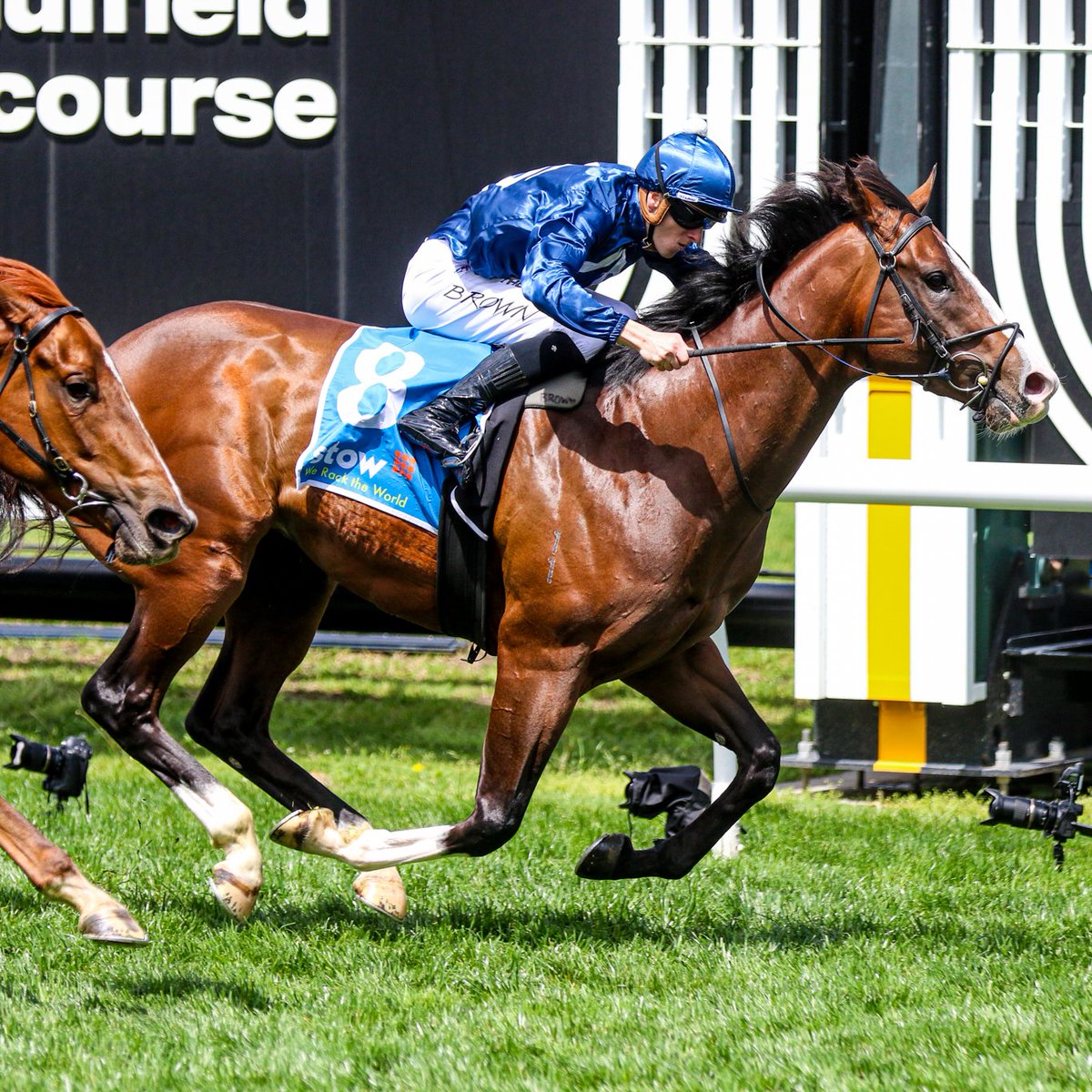 Lofty heights for this Snitzel colt.

<a href="/Brown_ethan8/">Ethan Brown</a> and the <a href="/AlexRaeRacing/">Alex Rae Racing</a> trained Lofty Arch make it two wins from three career starts in the Stow Storage Gothic Stakes.