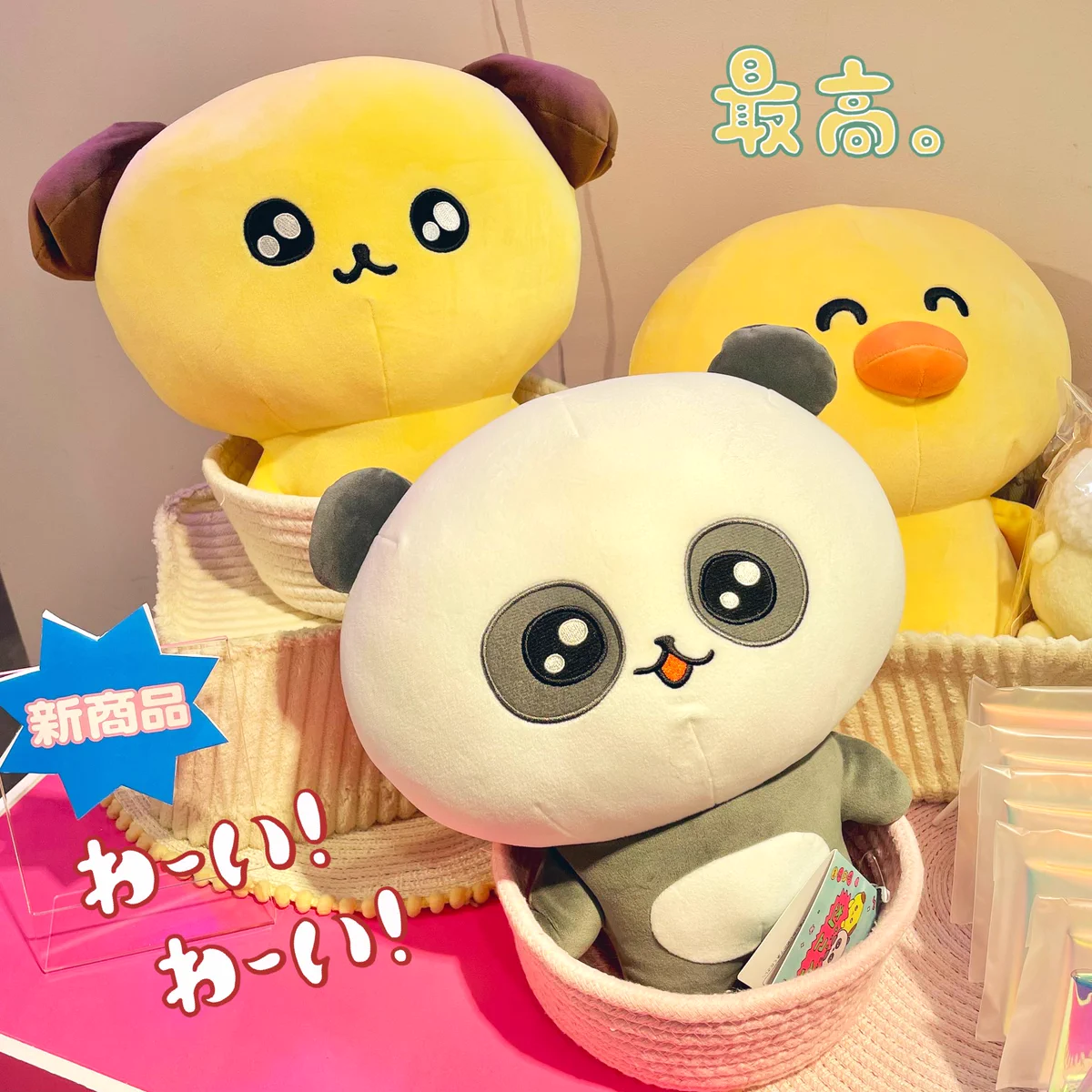 POP UP NEXT / ポップアップネクスト on X: 