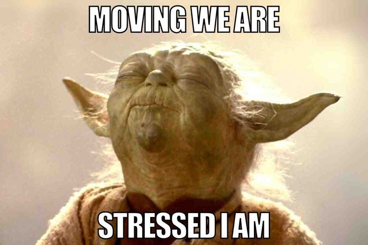 All_State_Mover's tweet image. We try to make moving day the least stressful as possible! 👍

#FridayFail #FridayFails #MovingFails #FridayFunny