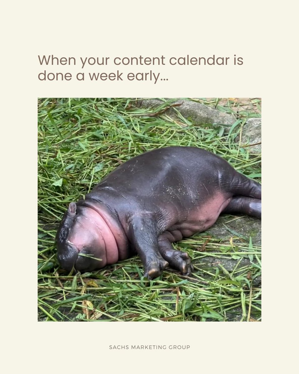 #moodeng, you just get us.