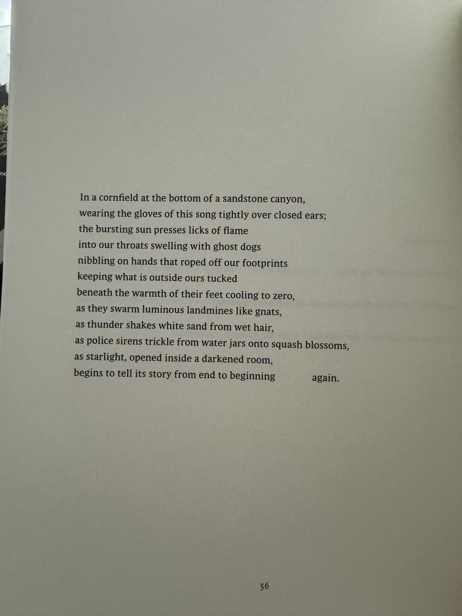 Sherwin Bitsui, from “Flood Song” ~ 

as starlight, opened inside a darkened room / begins to tell its story from end to beginning                     again