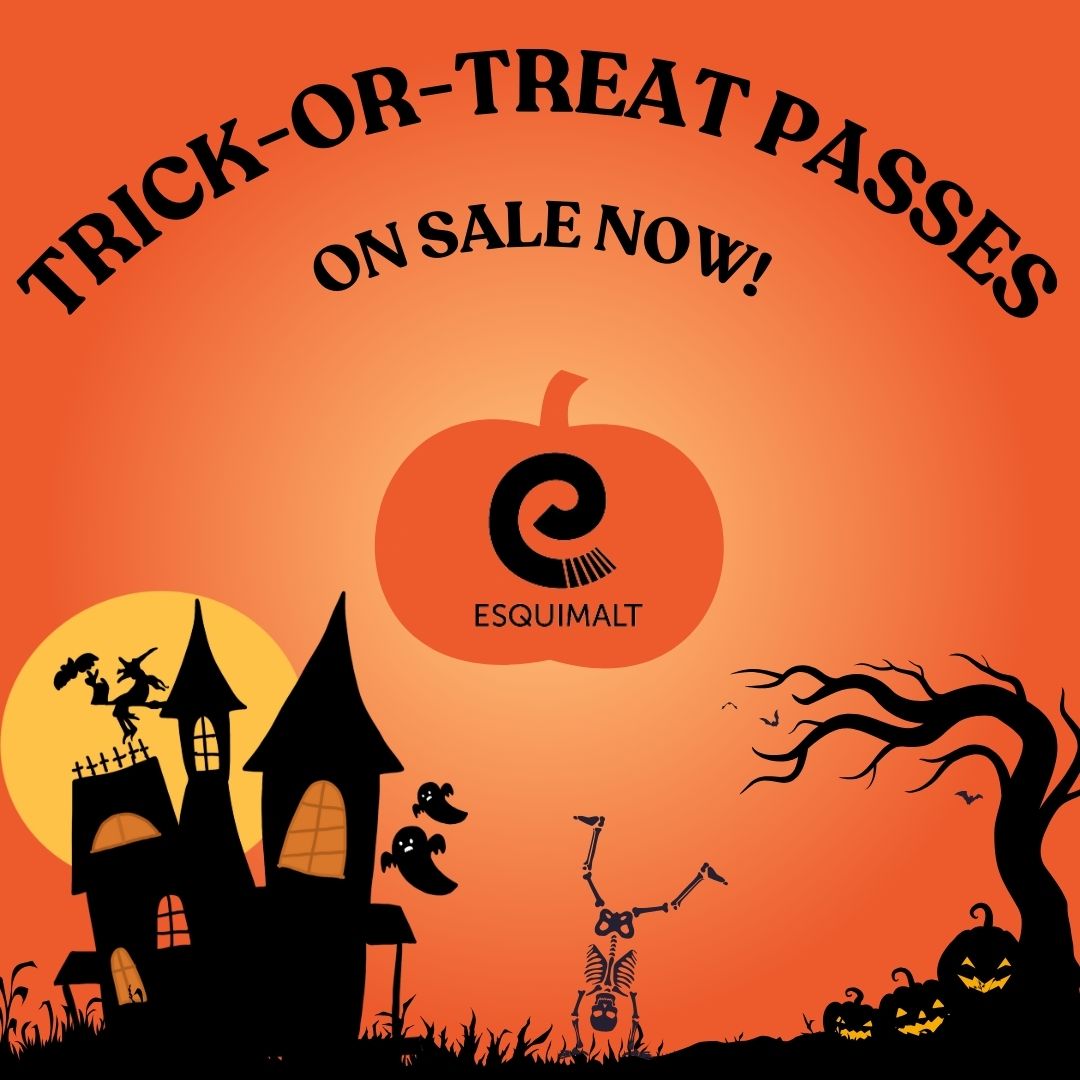 Halloween Trick-or-Treat Pass are on sale now!
Passes are good for one child or youth drop-in to the Esquimalt Recreation Centre from November 1-30, 2024, a great alternative to candy!
5/$5 or 25/$20