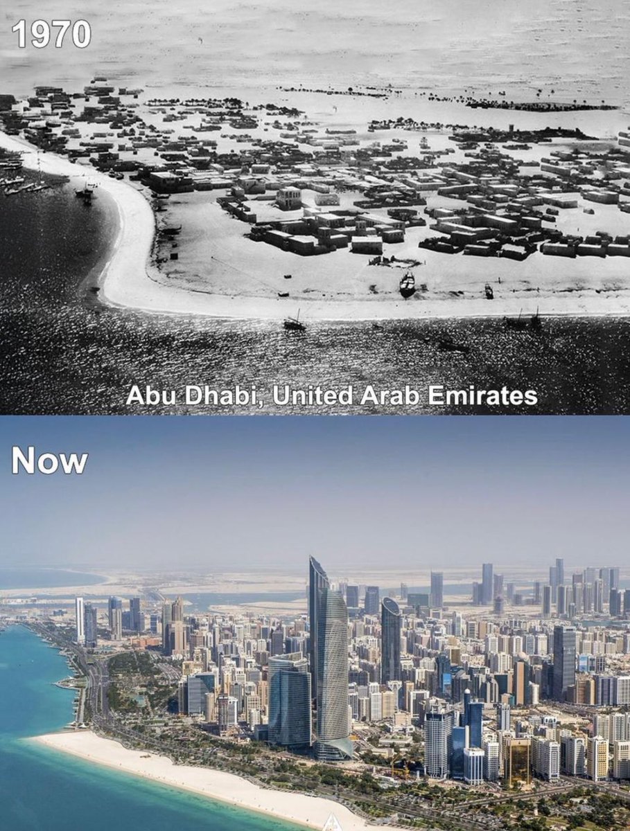 visegrad24's tweet image. What can the West learn from the UAE?