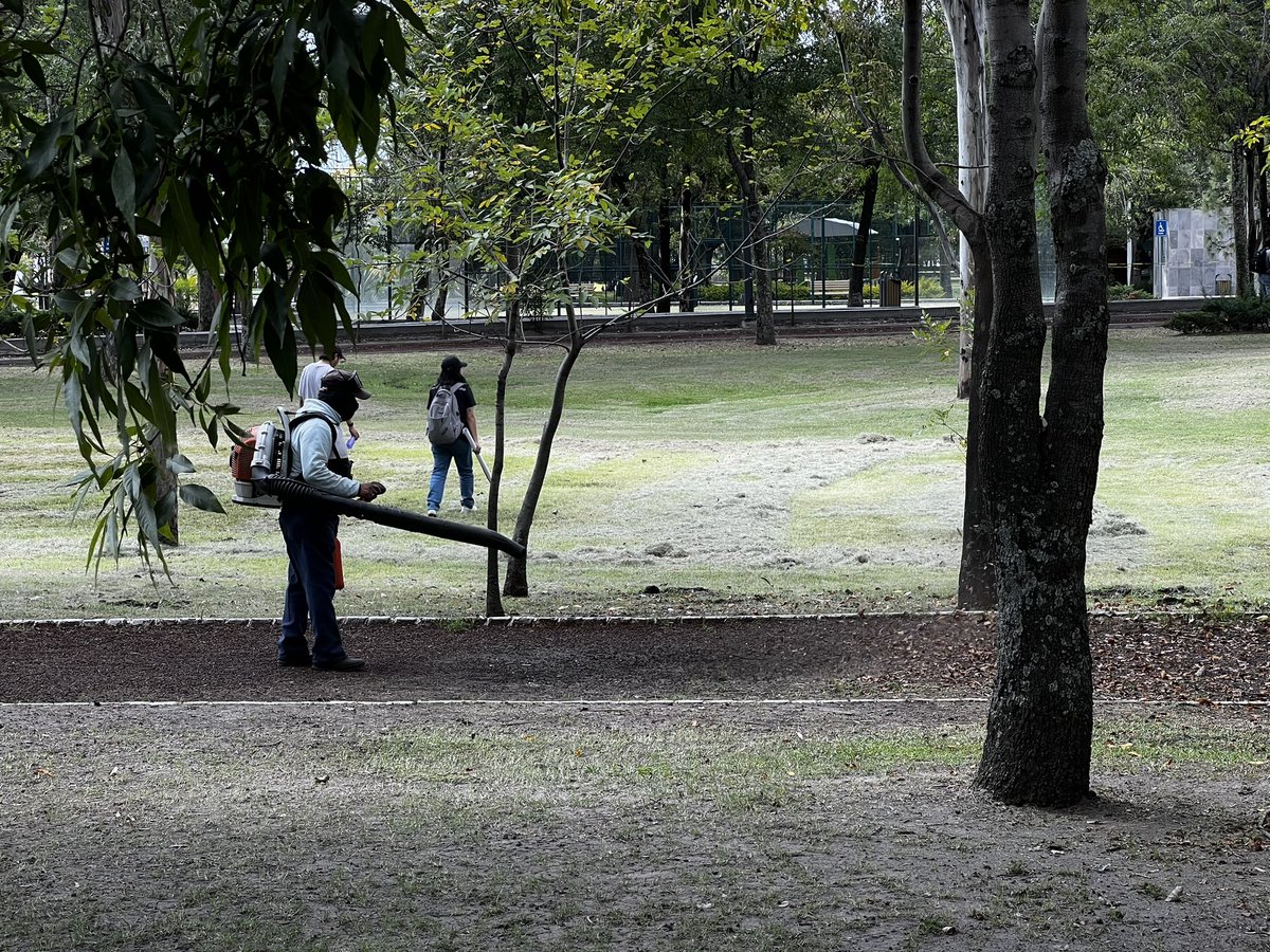 ParquesPuebla's tweet photo. ¡Gracias a las y los #GuardianesDeLosParques que se esfuerzan día a día para mantener nuestros espacios verdes en óptimas condiciones! 🌿🙌 Hoy estamos en el Parque Ecológico, donde se llevan a cabo labores de mantenimiento continuo. #ParquesTrabajando 👩🏻🌾🧑🏻🌾 https://t.co/qFQ10BUZSU
