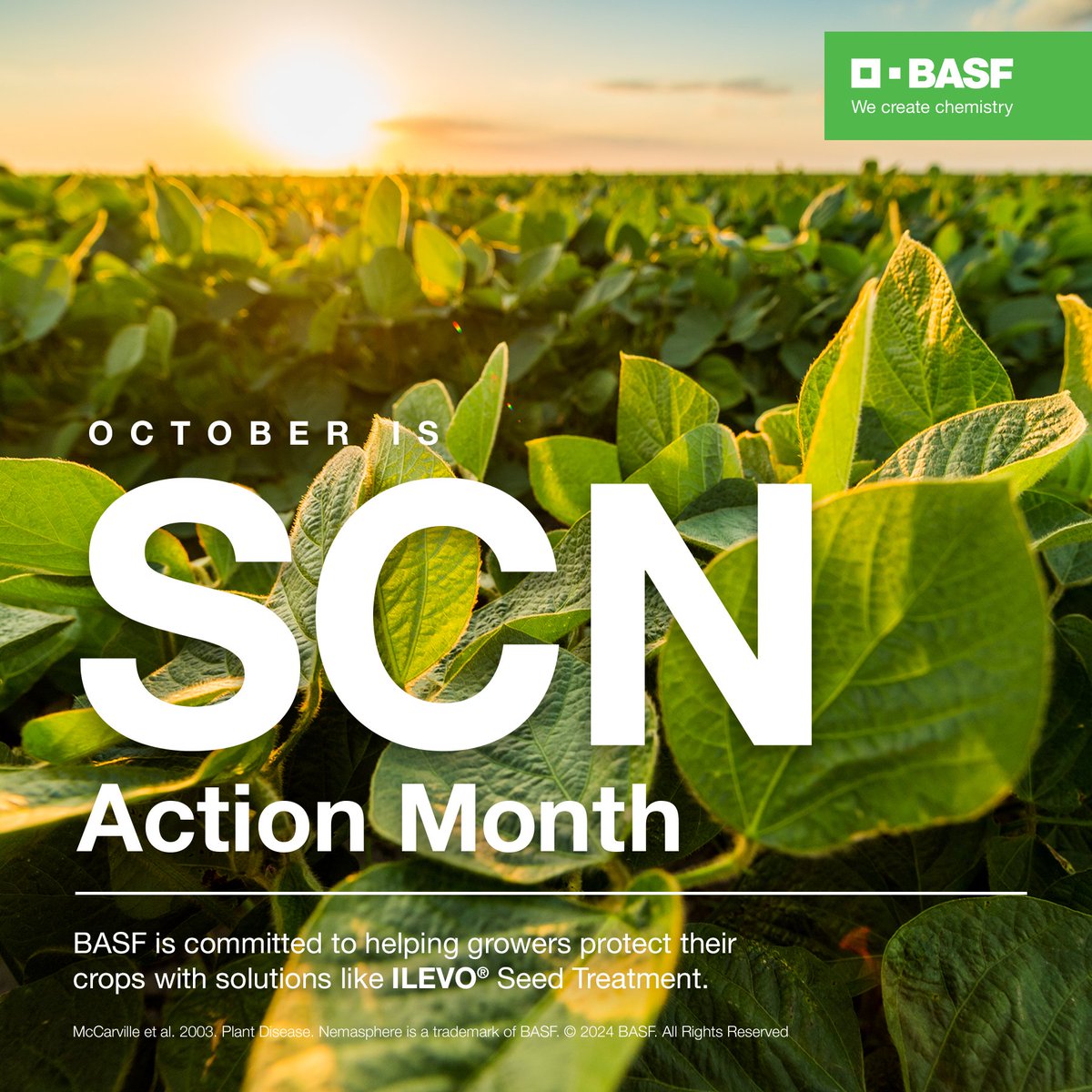 BASFAgProducts's tweet photo. It's Soybean Cyst Nematode Action Month and we're raising SCN awareness with @TheSCNCoalition. Check out how ILEVO® Seed Treatment fights the #1 threat to soybean yield: https://t.co/yjfsHTUKhs ​

#SCNActionMonth #ILEVO #BASFinAg https://t.co/qU8yIMk9Sh