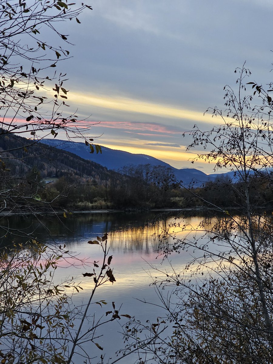 nathzilla's tweet image. 