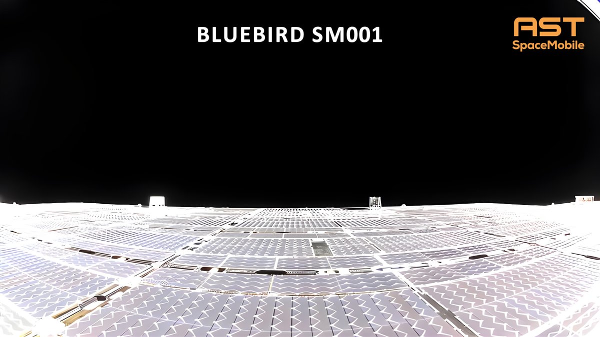 AbelAvellan's tweet image. First BlueWalker 3, now three BlueBirds!  Four of the largest-ever commercial communications arrays are now unfolded and the BlueBirds are getting ready for initial commercial operations. Congratulations to my team for their continued outstanding work!!!
🤠🇺🇲📶#5G
#ATT #Google…