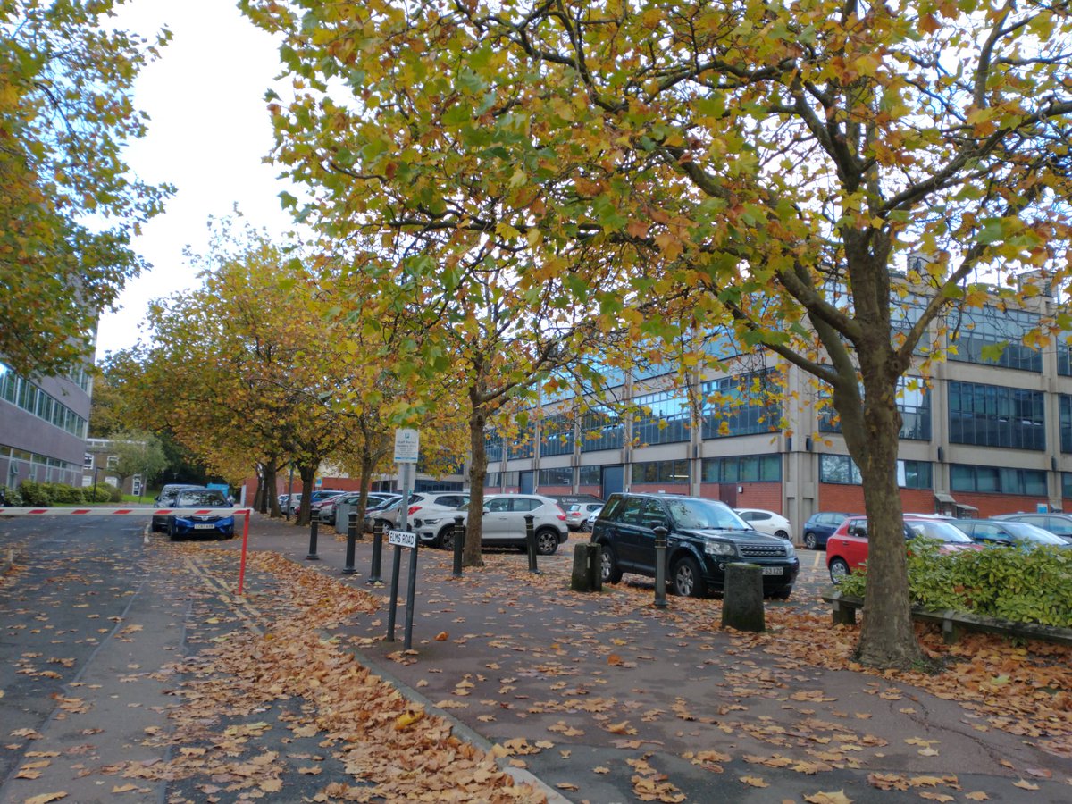 SEQ616's tweet image. ...shame this coincided with one of the #observatree science days. But glad all went well with on both accounts. Including more healthy trees @unibirmingham