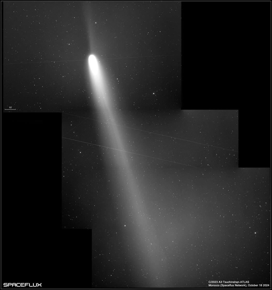 Ernesto Guido (@comets77) on Twitter photo C/2023 A3 (Tsuchinshan–ATLAS) imaged at 19UT of Oct. 18, 2024 with a 35cm telescope of <a href="/spacefluxHQ/">spacefluxHQ</a> network in Morocco.
Mosaic of 3x120sec exposure
Obs. E. Guido, M. Rocchetto & <a href="/AValvasori/">Adriano Valvasori</a>
#astronomy #CometC2023A3 C/2023 A3 (Tsuchinshan–ATLAS) imaged at 19UT of Oct. 18, 2024 with a 35cm telescope of <a href="/spacefluxHQ/">spacefluxHQ</a> network in Morocco.
Mosaic of 3x120sec exposure
Obs. E. Guido, M. Rocchetto & <a href="/AValvasori/">Adriano Valvasori</a>
#astronomy #CometC2023A3