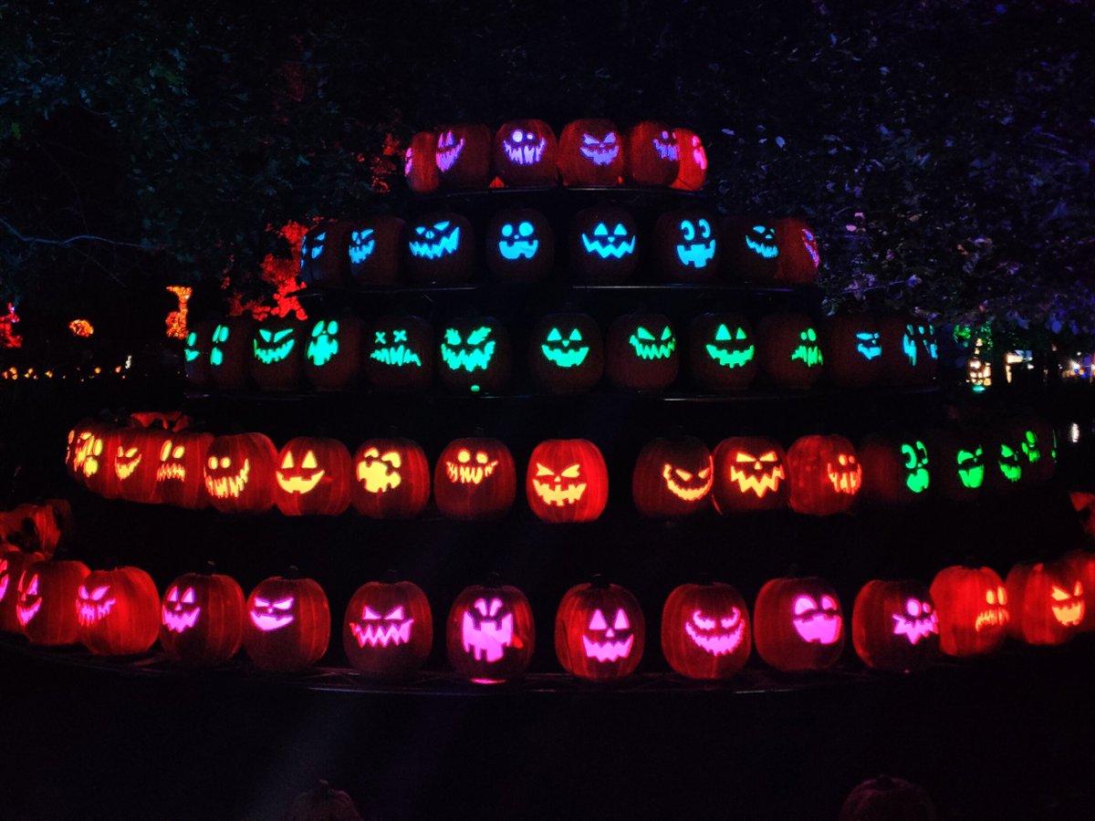 Don't forget! Join us at Magic of the Jack O’ Lanterns from now through November 2nd at The Hudson Gardens! 20% of all tickets purchased through this link will be donated back to the Denver Public Schools Foundation! Buy your tickets today: magicofthejackolanterns.com/denver/buy-tic…