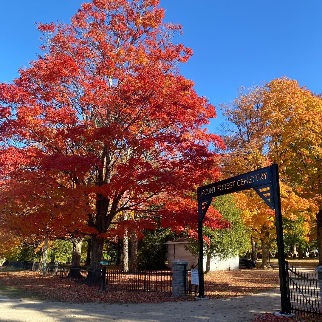 🍂 Enjoy Fall in Wellington North! 🍂

It's a beautiful weekend to get outside—whether you're hiking trails, visiting parks, or admiring the fall colors. 🌳🍁

Share your fall moments with #WellingtonNorthFall! 😊

📍 Mount Forest Cemetery, Oct 18
