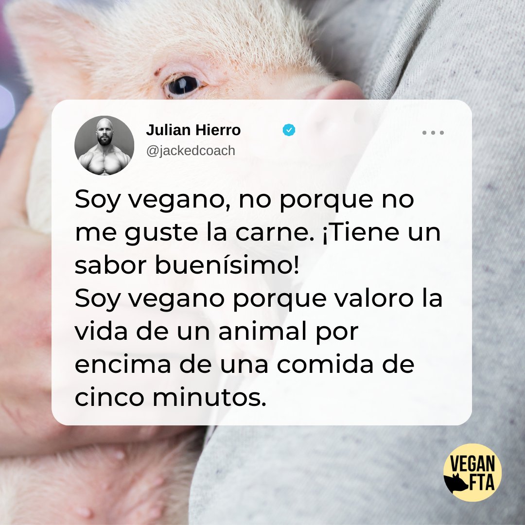VeganFTAEspanol's tweet photo. MUY rara vez alguien se vuelve vegan porque no le gusta el sabor de los productos animales con los que creció 🐮🐔🐷
👉 Ayuda para hacerte vegan: https://t.co/hQhiQsMxuQ
📸 @VeganFTAEspanol; tuit de @jackedcoach
#parrilladas #asadoargentino #bifedechorizo #derechosanimales https://t.co/BlRXywHYLm