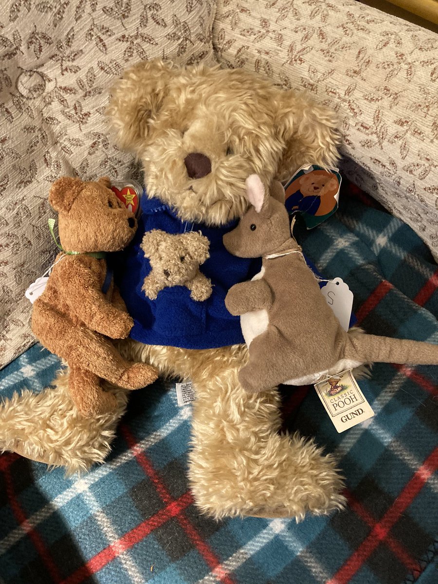 Angus, Roo and Duffle settling down for the night. Night night everybear 😴😴😴😴😴😴😴