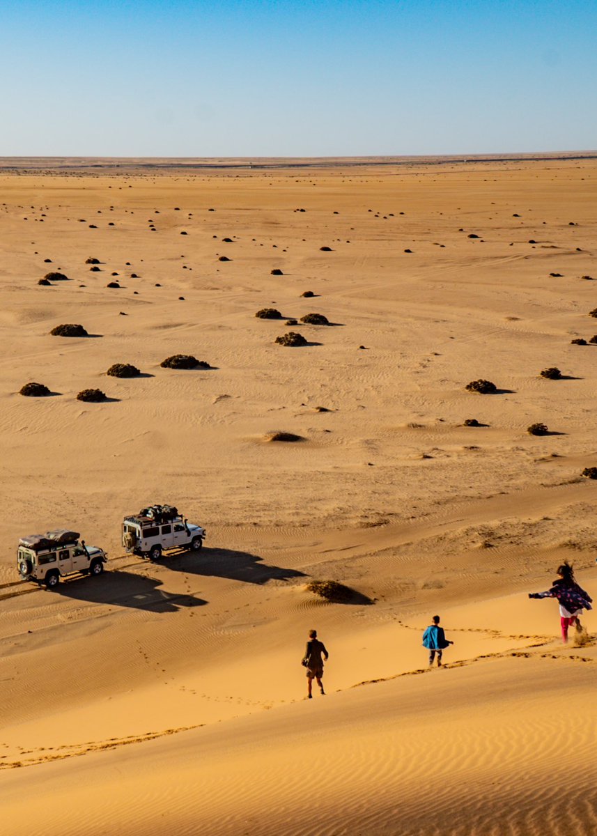 Jack Randall tweet media