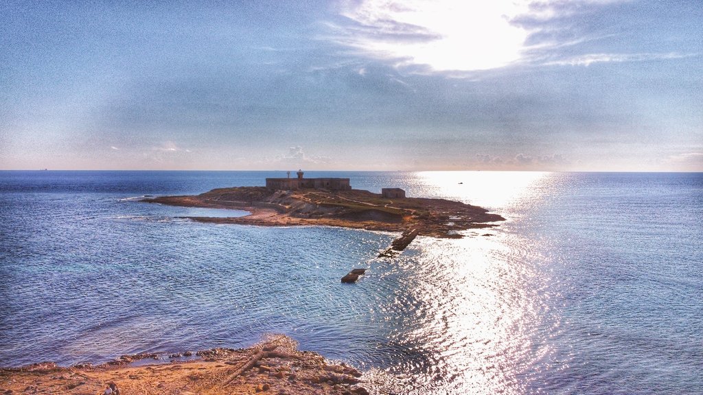 valentino cilmi (@valentinocilmi) on Twitter photo 