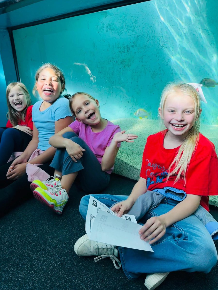 Mrs_Scanlon1's tweet photo. Ending @Amplify Unit 2: Animal Classification with a day at the @NewportAquarium! We had the BEST time exploring and expanding on our learning🪸✨🐟 

“Look! There’s a school of fish!”

“That shark has a backbone which means it’s a vertebrate animal.”

“This the best day ever!” https://t.co/zlti6fotZZ