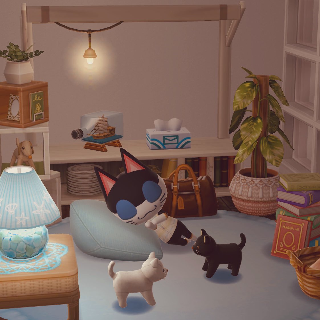 りんこ 🐈🐾 tweet media