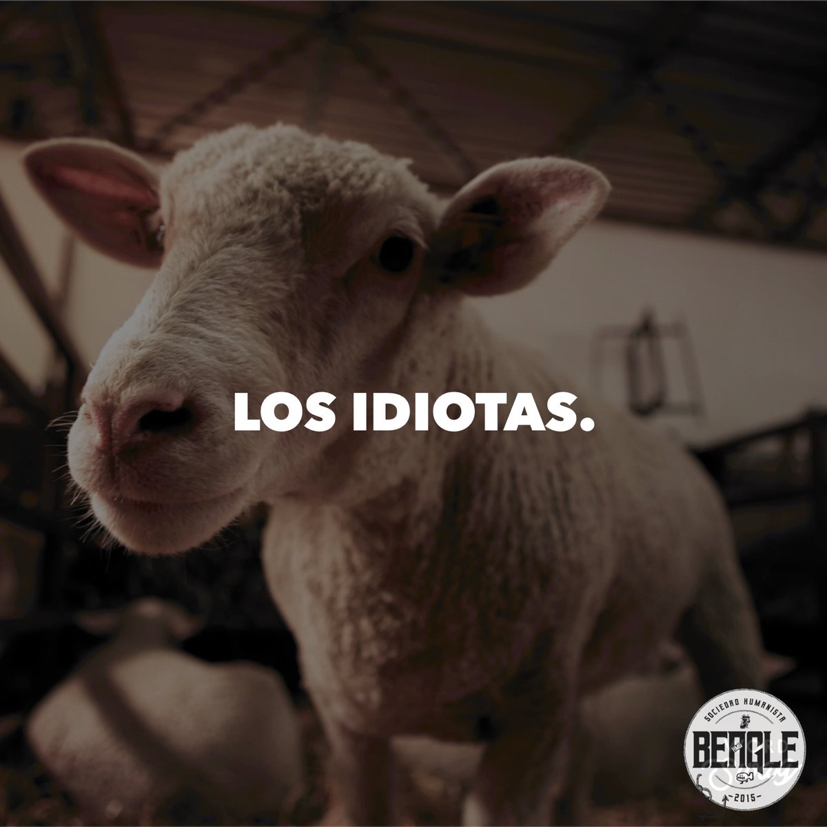 SociedadBeagle's tweet photo. Si repicas tu caldero en el cacerolazo pero pagas el diezmo a tu fantoche evasor de turno, que pide exenciones para él y sus compañeros de fechorías, eres un idiota de manual. https://t.co/8AlEWiLRzy