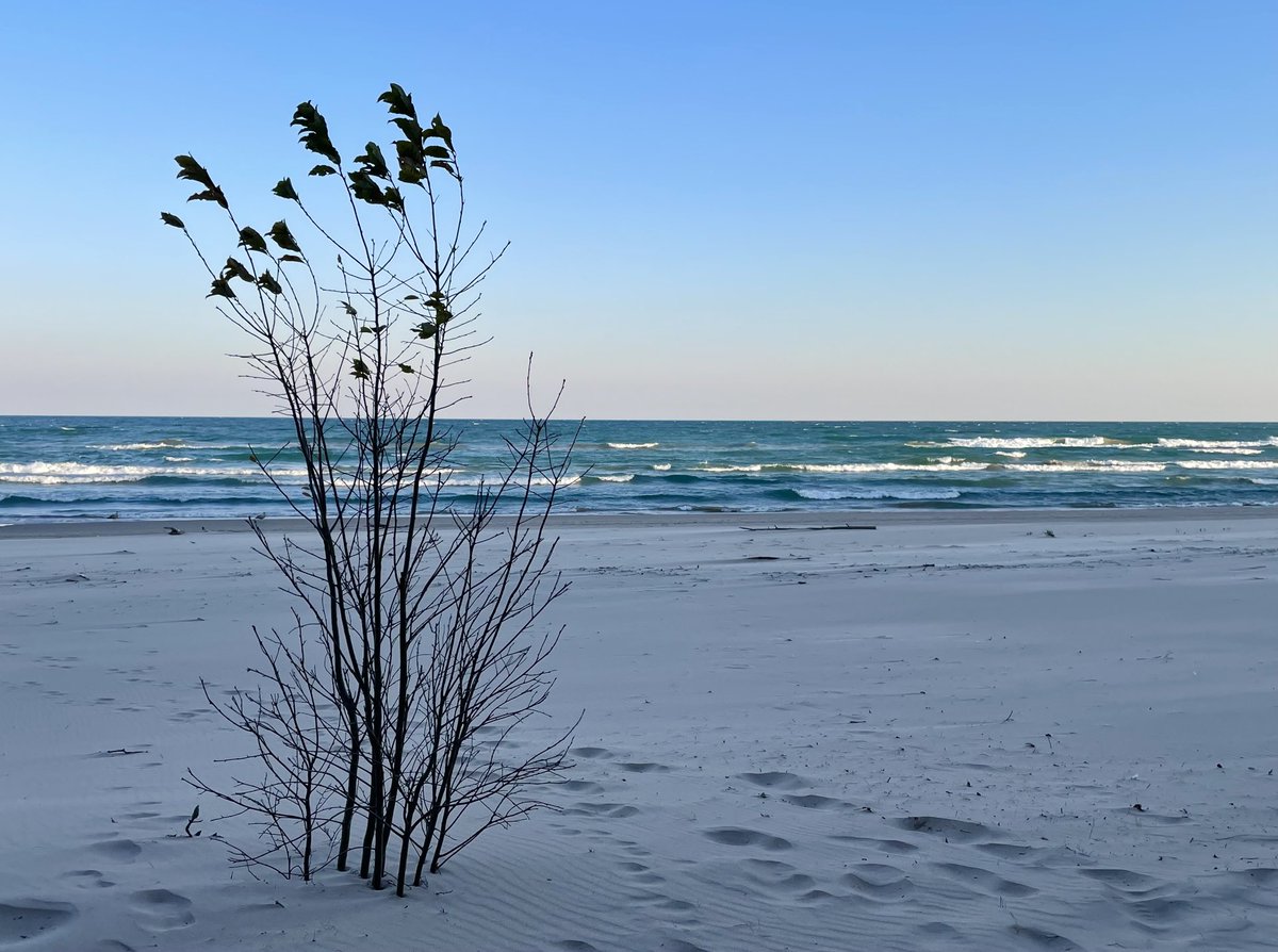runswstilettos's tweet photo. Wind and waves. #nature #water #wind #windblown #shorelines #beaches #sand #waves #whitecaps #lakemichigan #greatlakes #twilight #sunset #evening #eventide #outdoors @LindseySlaterTV @StarboardRail @LakeMichigan13 https://t.co/SKTE4rMzHS