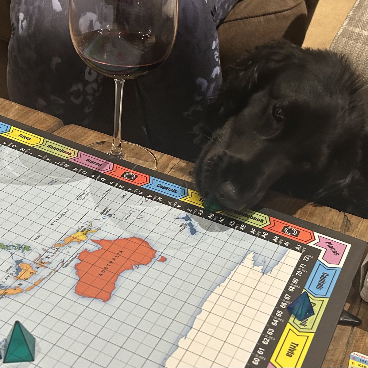 Hewligan's tweet photo. The Mystery of The Disappearing Game Pieces was eventually resolved.  Ruá has been trying to join in the only way she knew how 🥰 https://t.co/zsSHA0OTOh