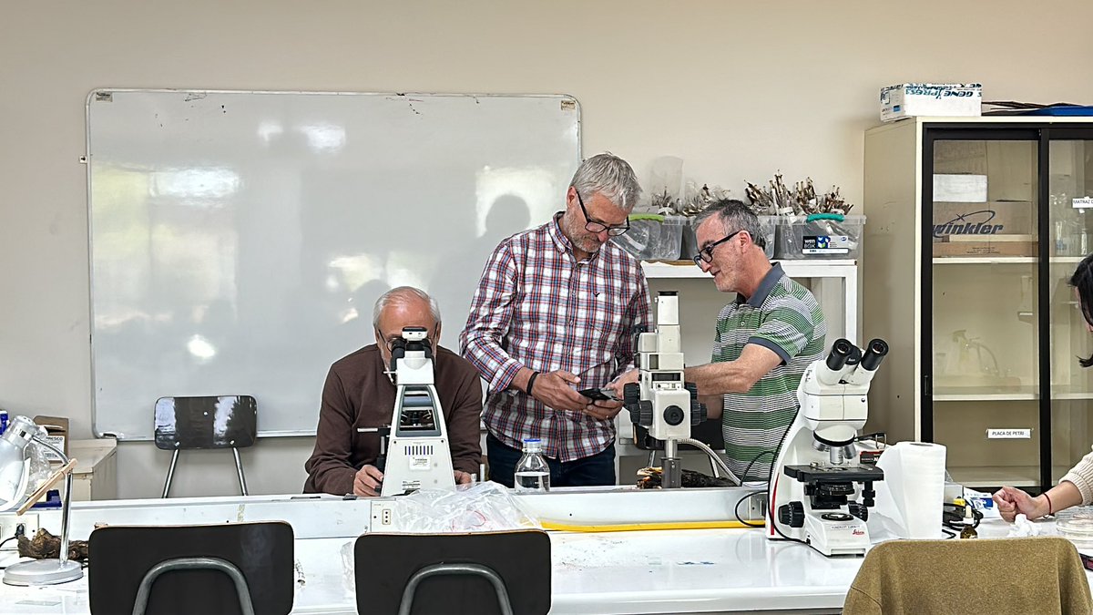 Postgraduate seminar by Dr Mark Sosnowski (SARDI) at the Faculty <a href="/agrariasutalca/">Ciencias Agrarias UTalca</a>  <a href="/UTalca/">Universidad de Talca</a> <a href="/postgradoUTalca/">Postgrado UTalca</a> excellent visit, enjoying 10 days of intense work and collaboration between Chile and Australia, Fondecyt project of Eutypa lata (prof. <a href="/MauLolas/">Mauricio Lolas</a> ) <a href="/ANID_Chile/">Agencia Nacional de Investigación y Desarrollo</a>