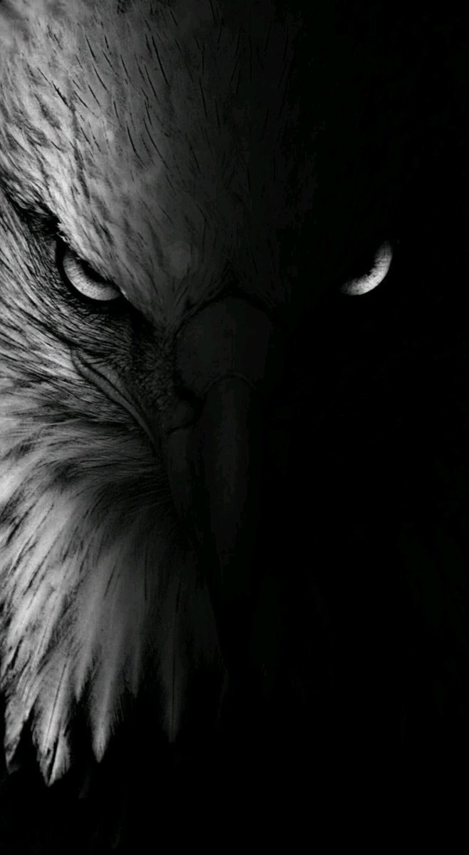 En güzel #Beşiktaş duvar kağıtları buradan paylaşıyoruz. #wallpaper