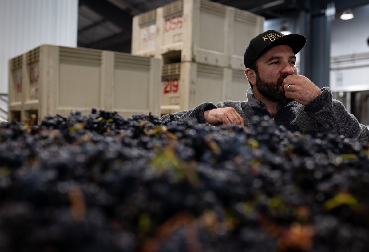 Our 2024 harvest has officially wrapped, and it was nothing short of extraordinary. This year brought a smooth and generous season. We’re incredibly optimistic about what this vintage will deliver and can’t wait to share it with you soon!