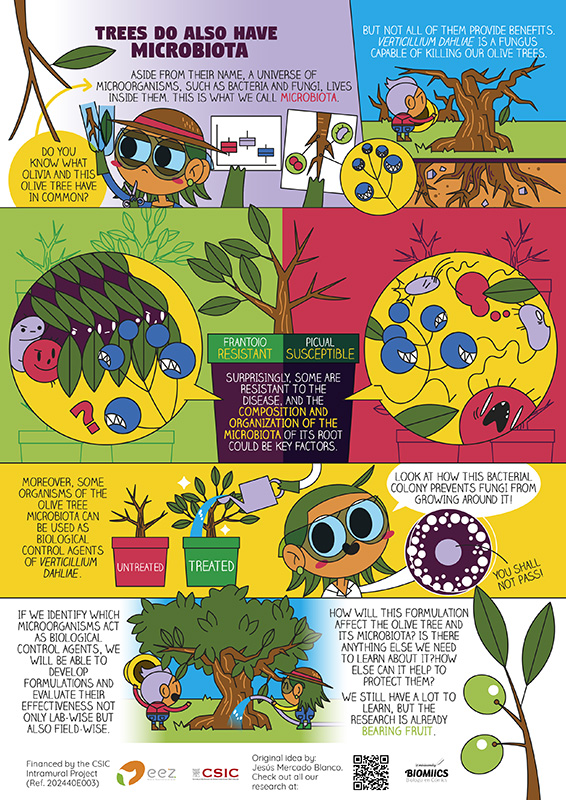 IOBC_WPRS's tweet photo. 𝗕𝗶𝗼𝗰𝗼𝗻𝘁𝗿𝗼𝗹 𝗖𝗼𝗺𝗶𝗰
Enjoy and learn more about the importance of the plant microbiota (olive tree), biological control strategies and the importance of Verticillium wilt in olive cultivation.
https://t.co/HOsDl9OEDe
#BioControl #PlantHealth #Bioprotection #IPM https://t.co/ZvWOI5MiYs