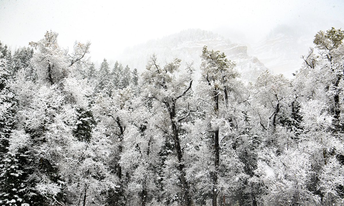 workingitoutnow's tweet photo. Snow this morning on the Alpine Loop. #snow #weather #mountains #alpineloop #utwx #turkeys #fall #winter #provo #beaUTAHful https://t.co/kGpn2kXYcc