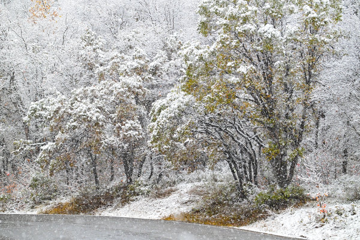 workingitoutnow's tweet photo. Snow this morning on the Alpine Loop. #snow #weather #mountains #alpineloop #utwx #turkeys #fall #winter #provo #beaUTAHful https://t.co/kGpn2kXYcc