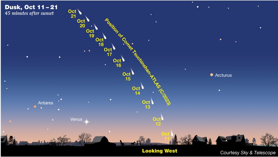 mark_tarello's tweet photo. PASS IT ON! Comet Tsuchinshan-ATLAS has an 80,000 year orbit &amp; it's now approaching its closest pass to Earth. It will get higher in the early evening sky through October 21st. Look to the west sky after sunset during twilight. Courtesy: Sky &amp; Telescope. #Comet https://t.co/0nhJ8NiSQX