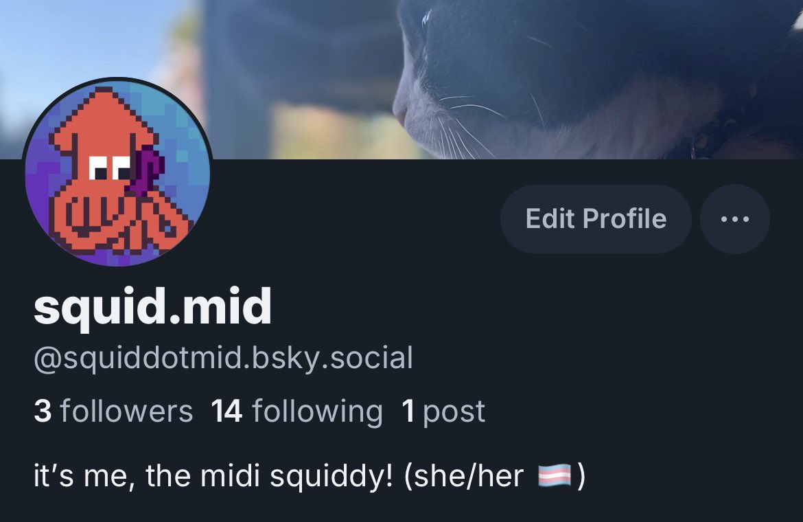 it seems like people are finally actually making a move to bluesky, and I am ON BOARD

come find me where the sky is blue