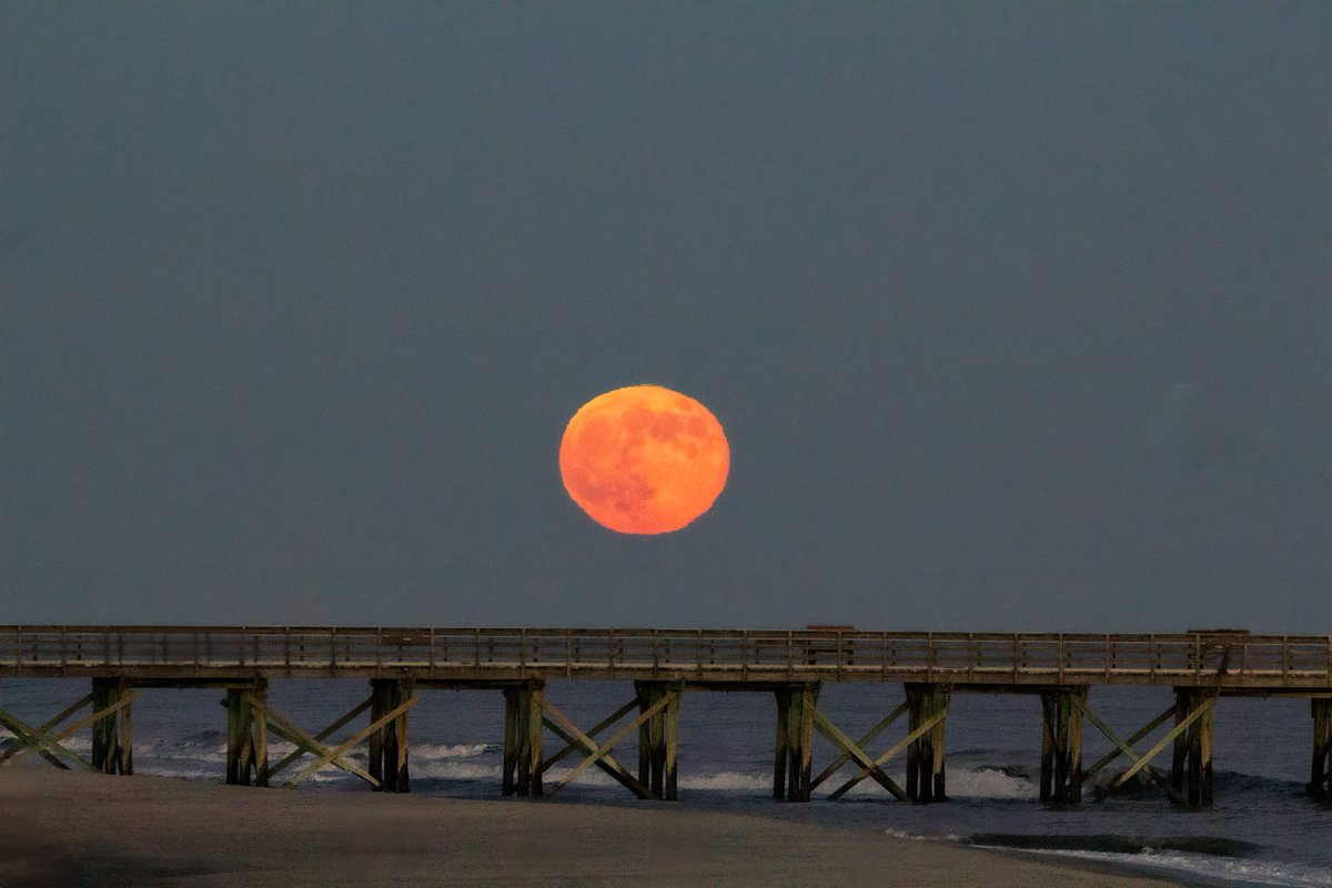 MichaelMar54's tweet photo. Bad Moon Rising, Full super moon rising, isle of palms, SC…#moon #moonlight #moonrise #moonlovers #nature #beach #beachlife #beachvibes #ocean #oceanside #oceanphotography #canon #usinterior #sigmaphoto #naturephotography #naturelovers #naturelover #photography #photographer #photo #outside #outdoors #outdoor #pier #atlantic #atlanticocean #charlestonSC