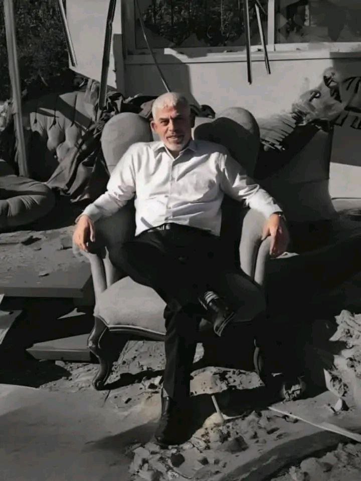 SW News - SOFT WAR NEWS tweet media