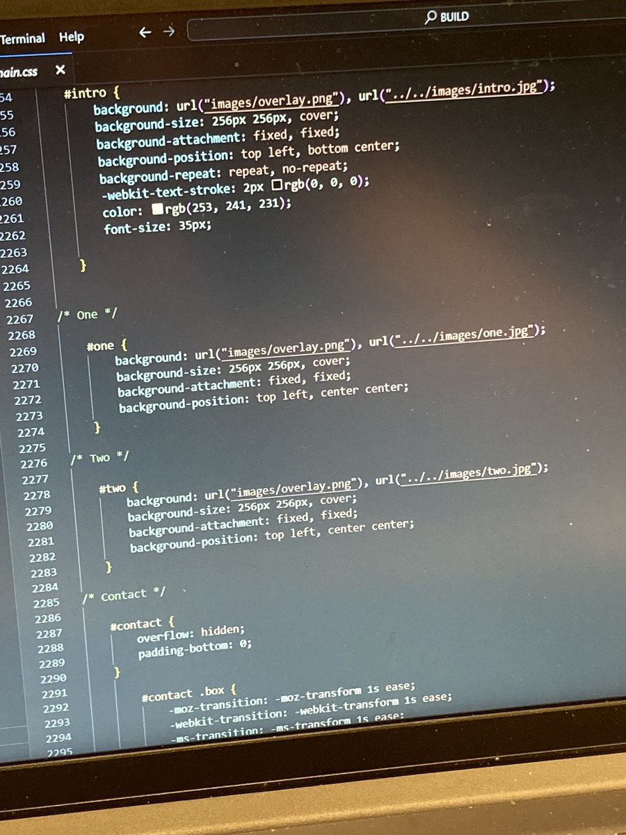 Evie #100Devs tweet media