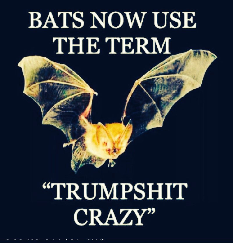 omgpodcast22's tweet photo. @jasonllevin @jasonllevin
Representing the Coalition of Bats please be informed of the following (see meme below). The COA further requests that you no longer associate the former President with bats but instead use the term #TrumpshitCrazy so that our reputation isn't harmed further.😂❤️🔥🌏😇 https://t.co/QAFkObt7Ej