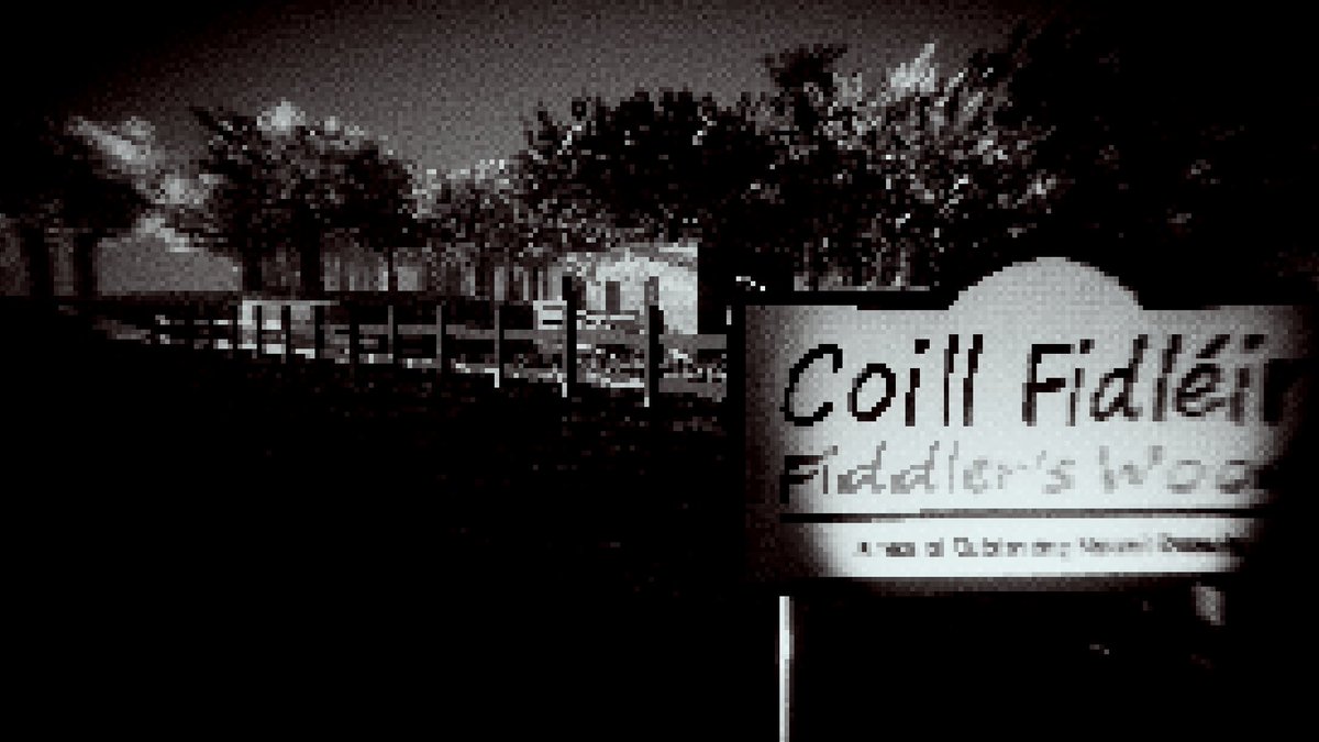 Amy💀 littlestskeleton.com tweet media