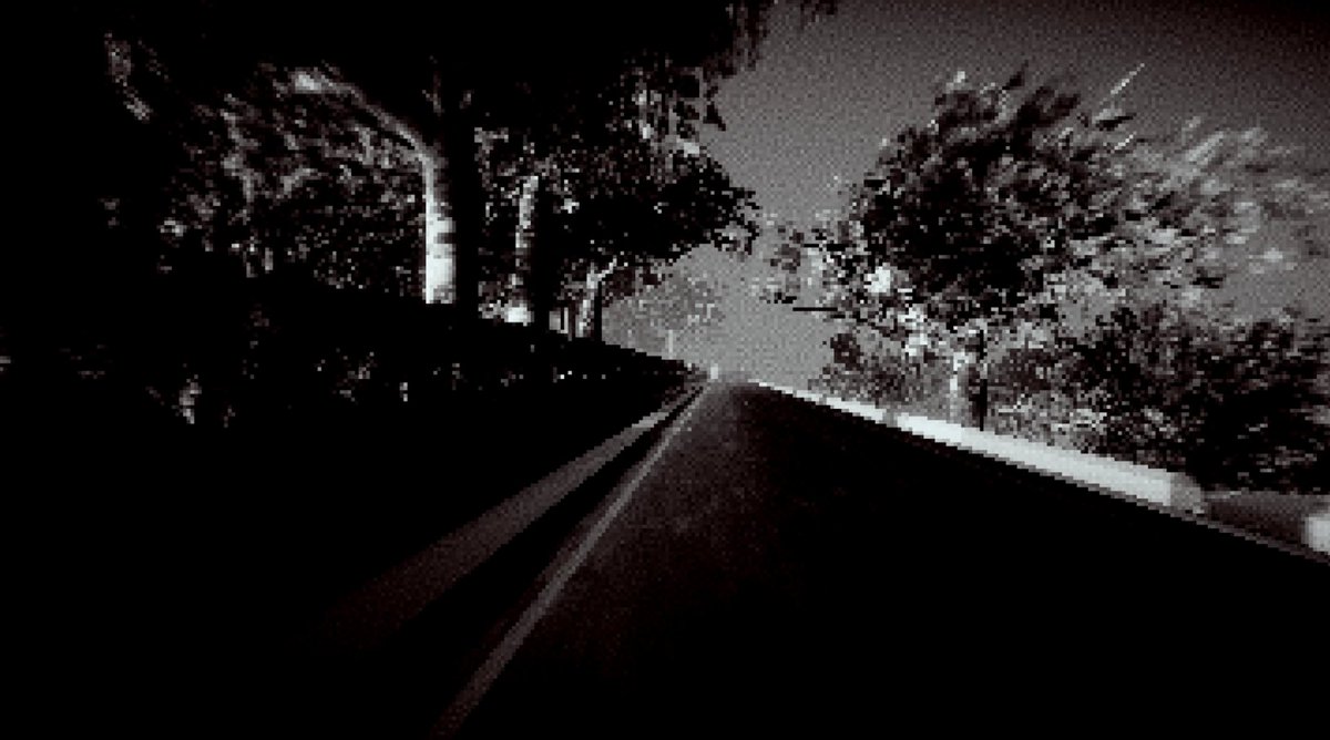 Amy💀 littlestskeleton.com tweet media