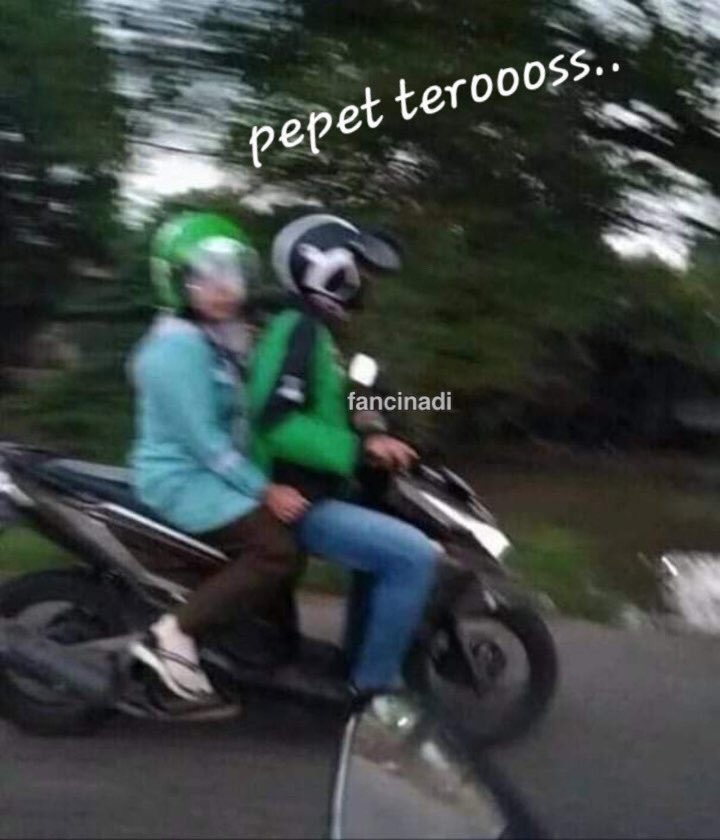 Pohon Kelapa tweet media