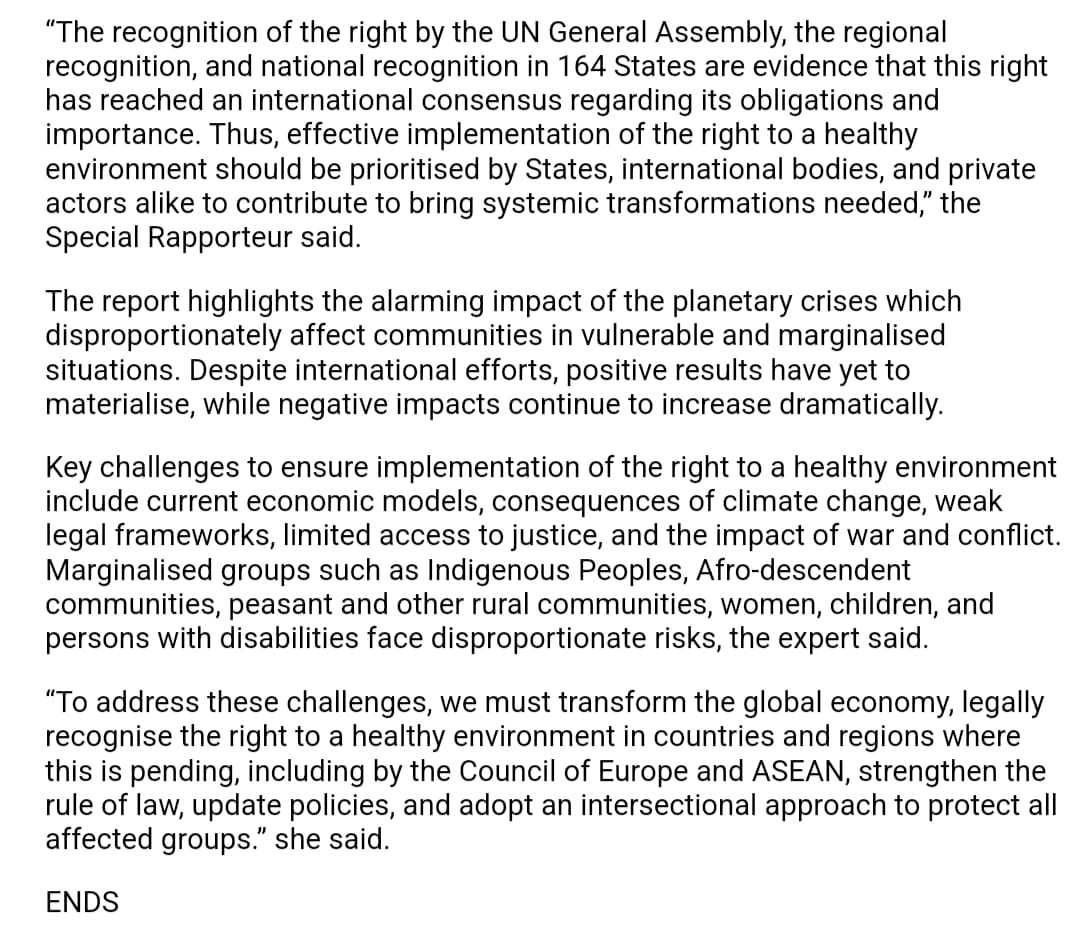 “To enable the implementation of the human right to a clean, healthy, and sustainable environment, we must ensure and strengthen public participation, access to information, and justice in environmental matters and transform economic models."